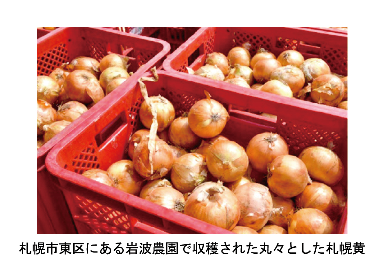 今月の特産品